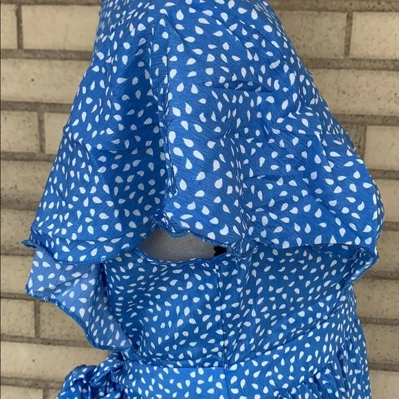 Blue Flutter Sleeve Frill Hemline Trim Dalmatian Dress - Picture 8 of 14